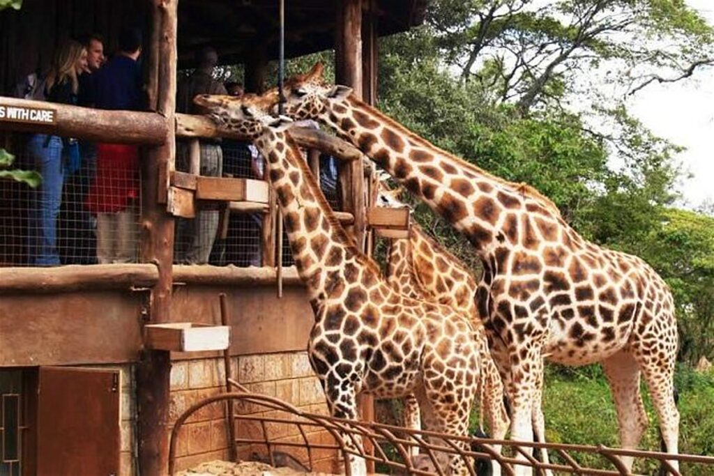 things to visit in nairobi