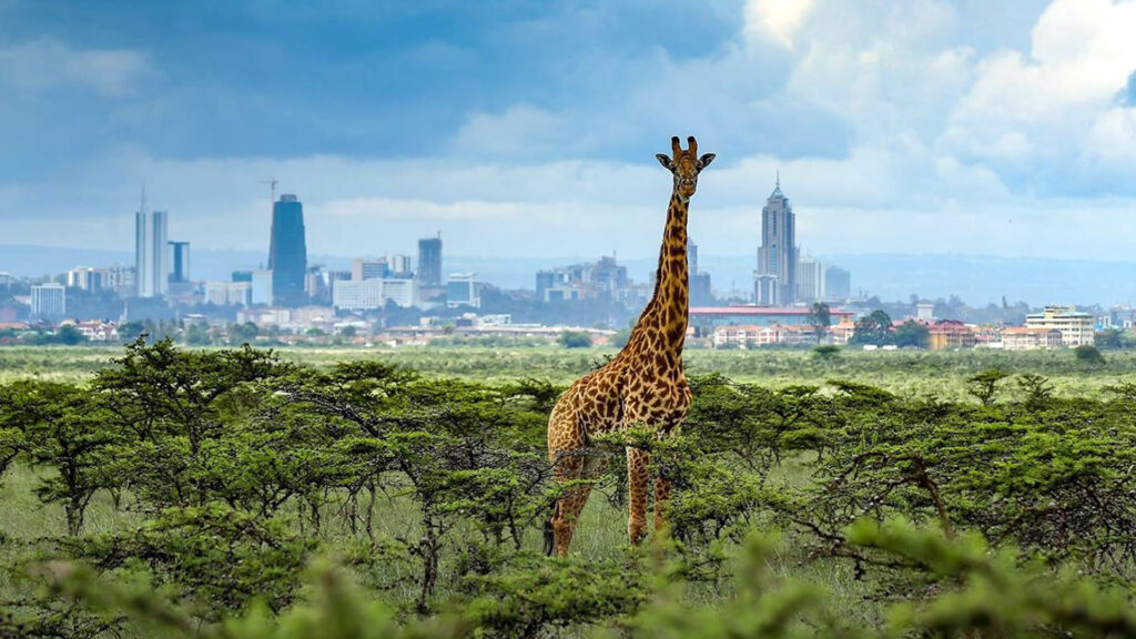 things to do in nairobi