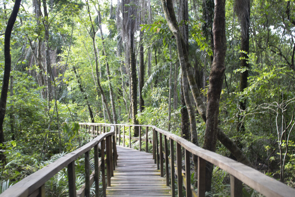  Lagos Nigeria - Lekki Conservation Center