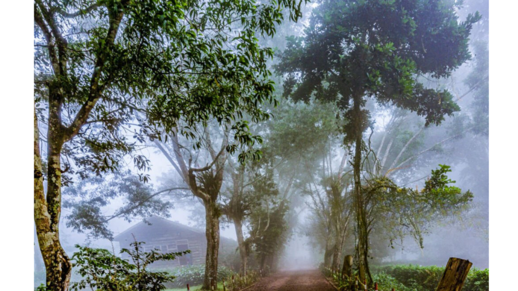 Aburi Botanical Gardens