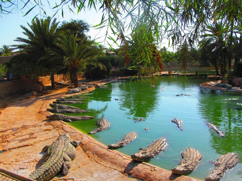 Djerba Explore Park