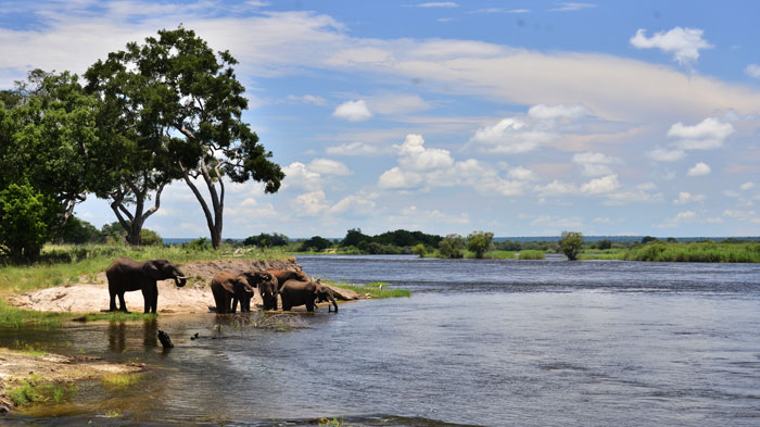 Victoria Falls National Park