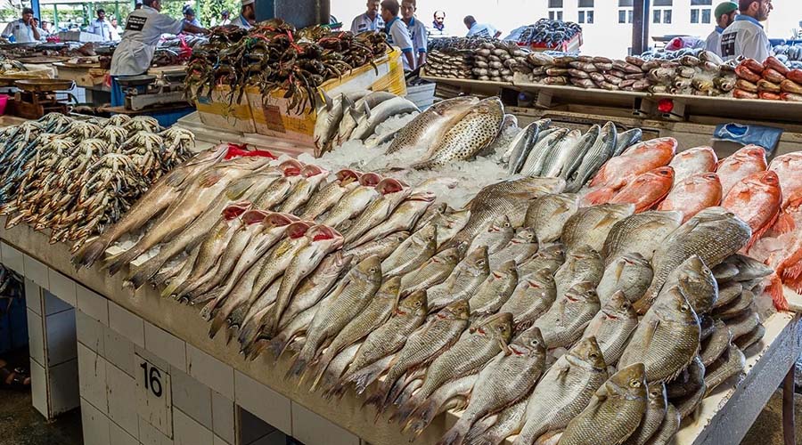 Alexandria fish market