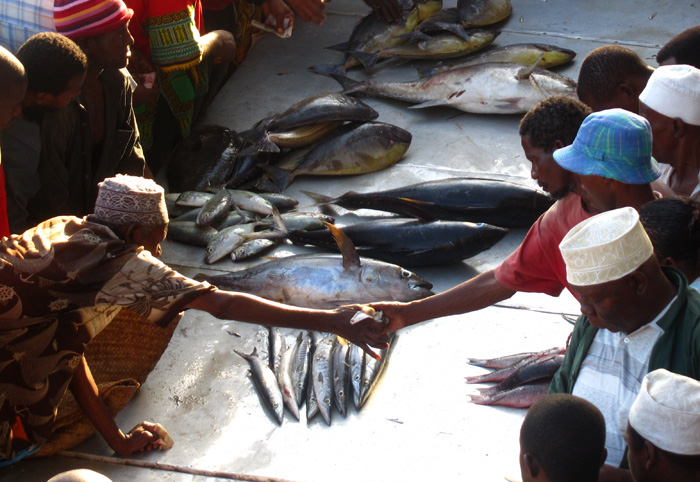 Dar es Salaam Fish Market