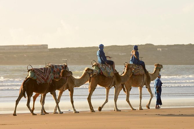 Camel Trekking in Essaouira